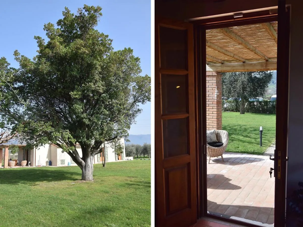 Podere Di Piero Lucca Holiday home